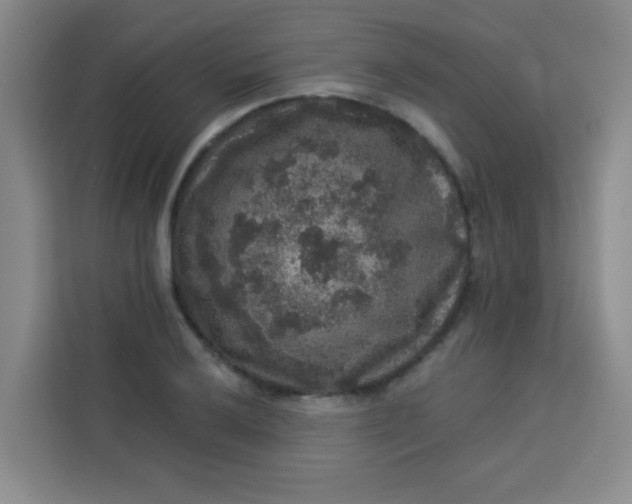 X0000113281032200910051036