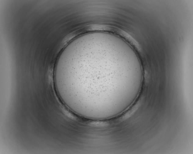 X0000113281033200910051036