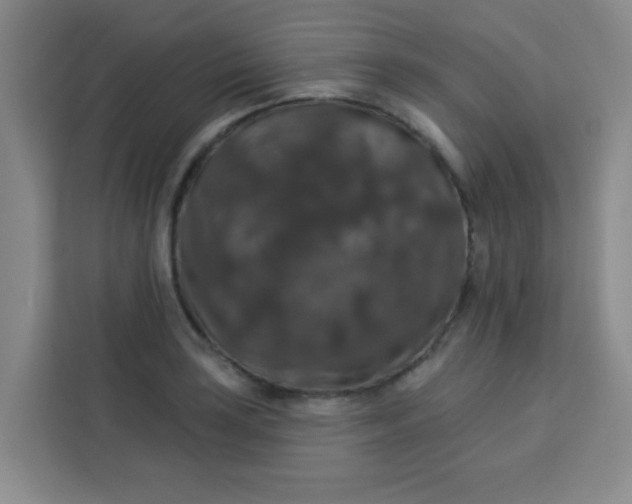 X0000113281035200910051036