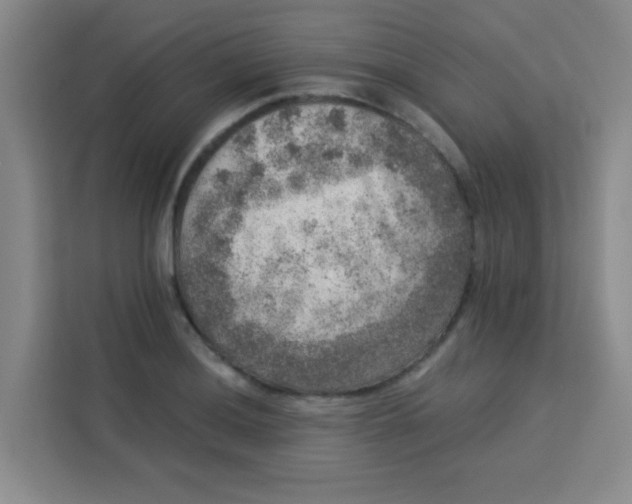 X0000113281036200910051036