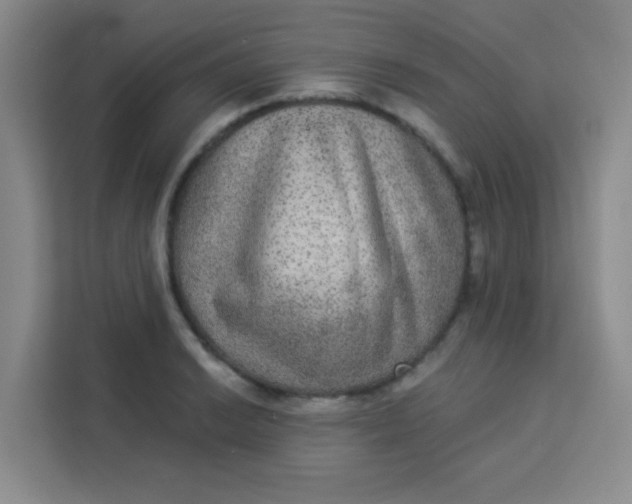 X0000113281038200910051036