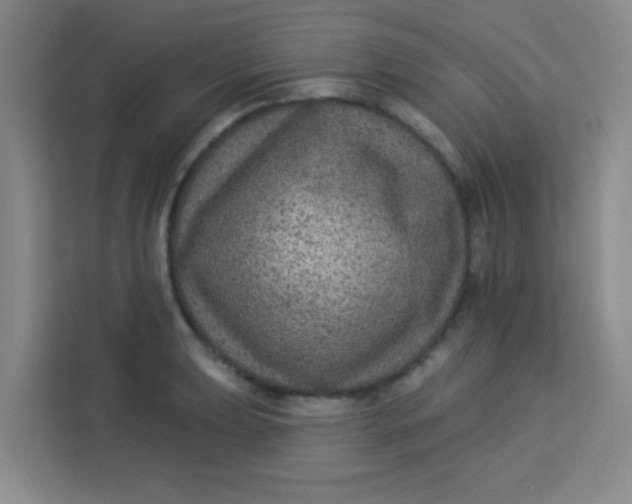 X0000113281039200910051036