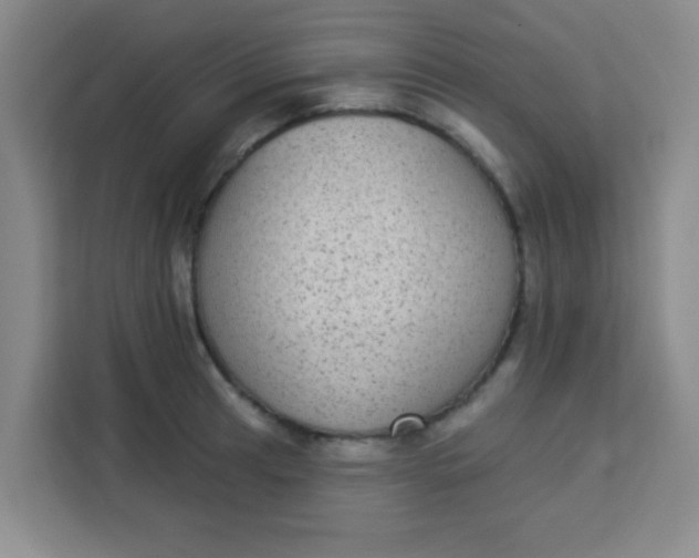 X0000113281041200910051036