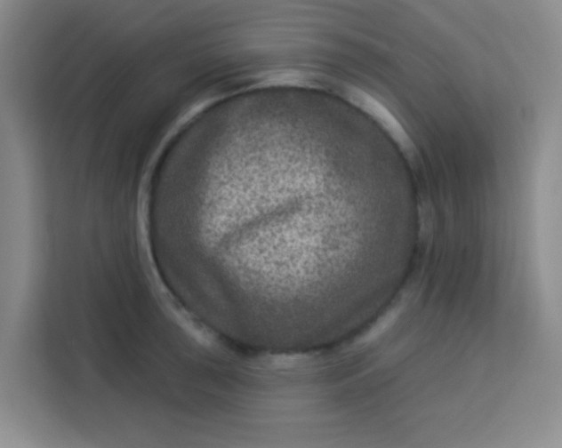 X0000113281043200910051036