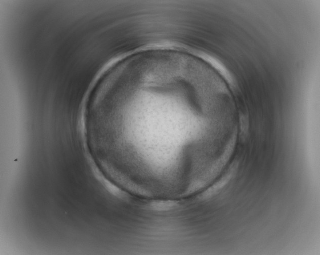 X0000113281046200910051036