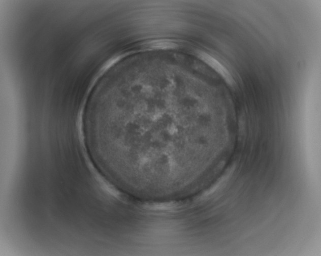 X0000113281047200910051036