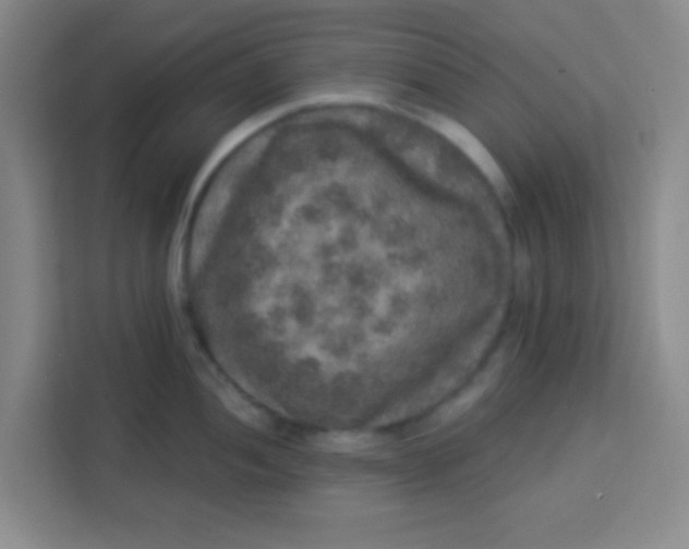 X0000113281052200910051036