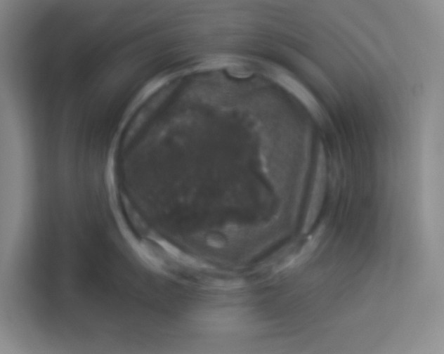 X0000113281055200910051036