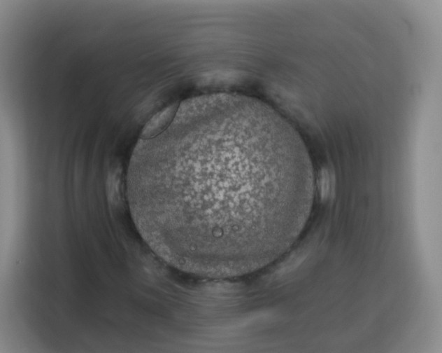 X0000113281059200910051036