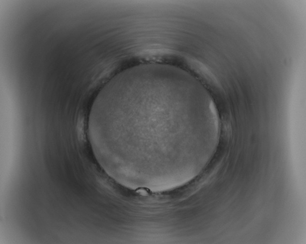 X0000113281060200910051036