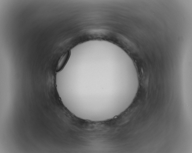 X0000113281061200910051036