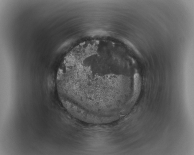 X0000113281063200910051036