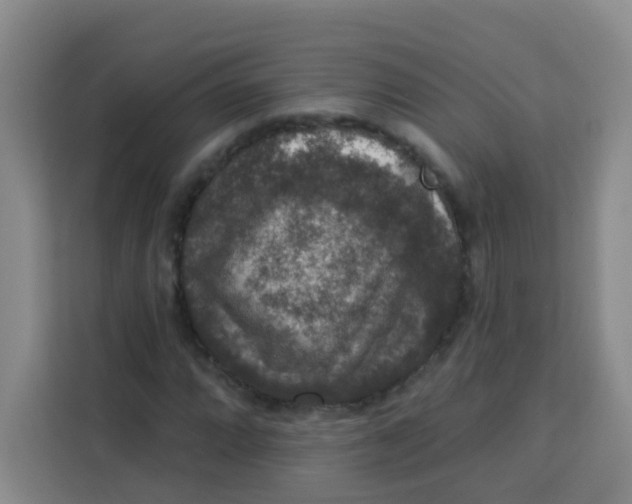 X0000113281064200910051036