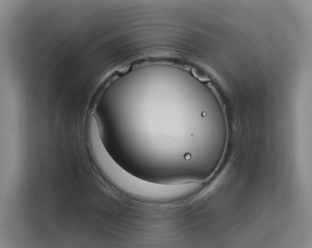 X0000113281065200910051036