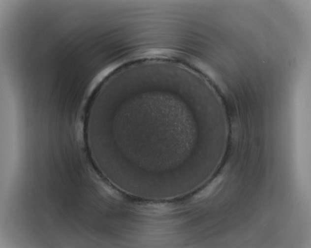 X0000113281066200910051036