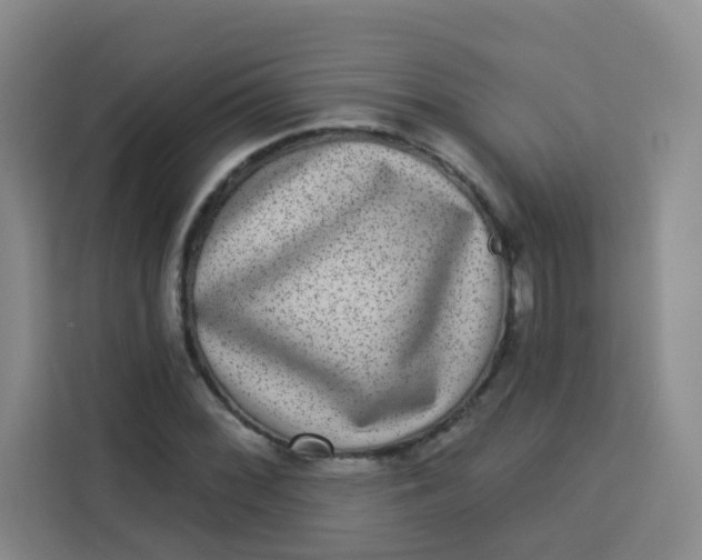 X0000113281068200910051036