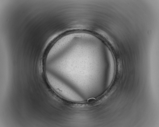 X0000113281069200910051036