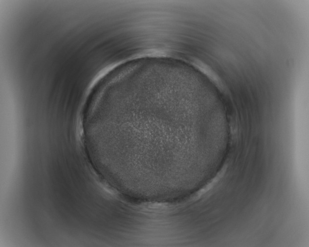 X0000113281070200910051036