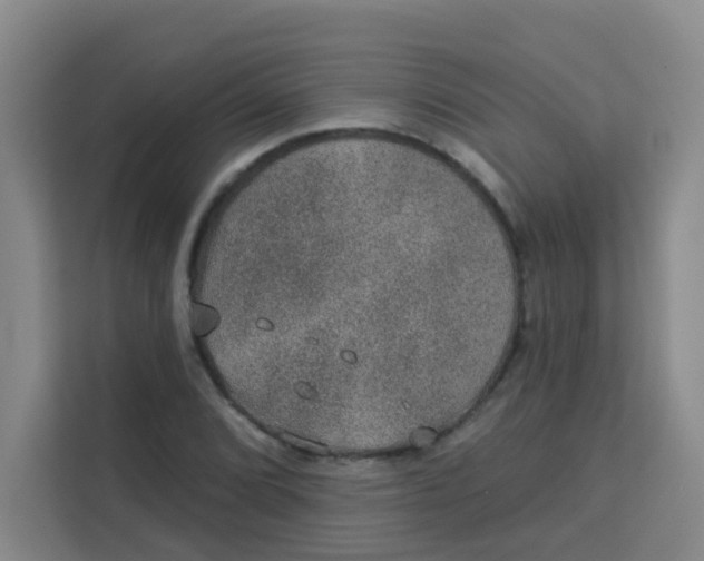 X0000113281072200910051036