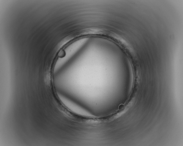 X0000113281073200910051036