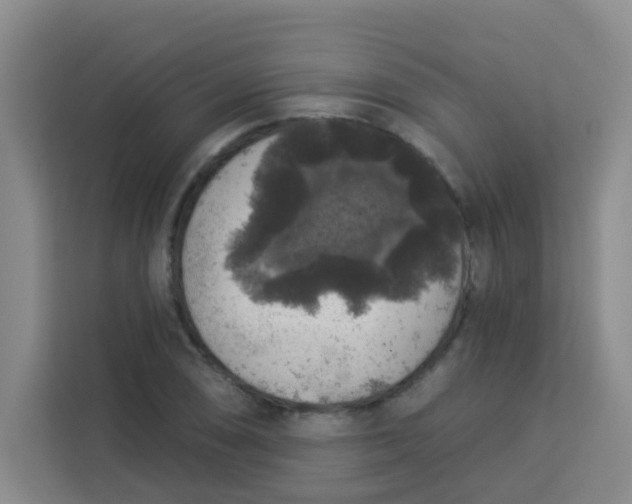 X0000113281074200910051036