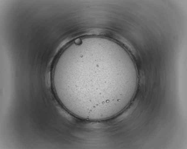 X0000113281075200910051036