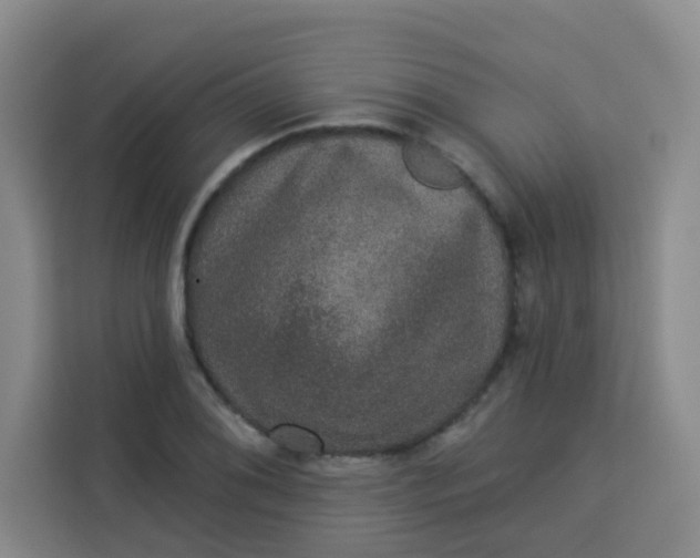 X0000113281076200910051036