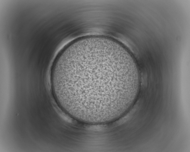 X0000113281078200910051036