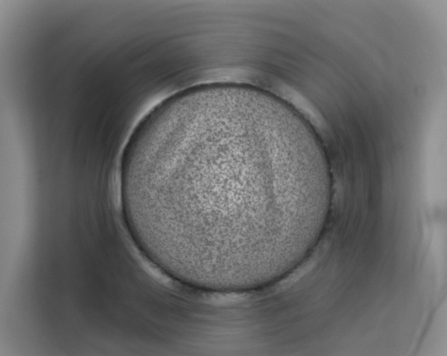 X0000113281079200910051036