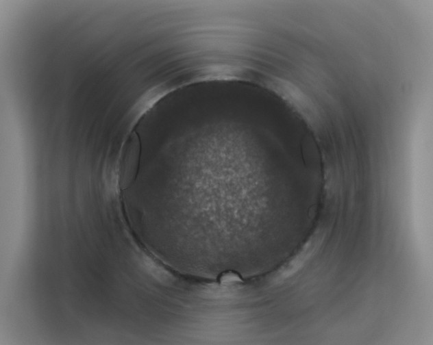 X0000113281081200910051036