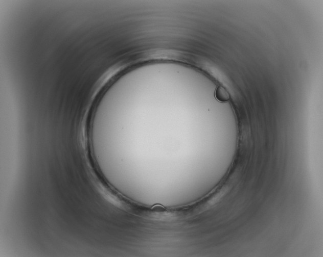 X0000113281082200910051036