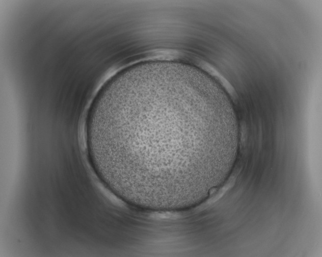 X0000113281083200910051035