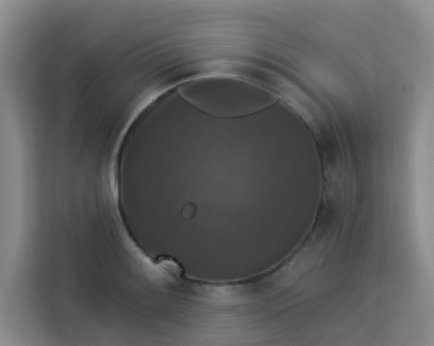 X0000113281084200910051035