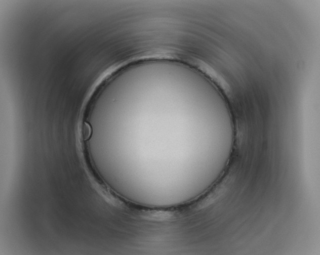 X0000113281085200910051035