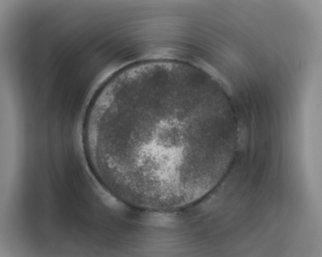 X0000113281086200910051035