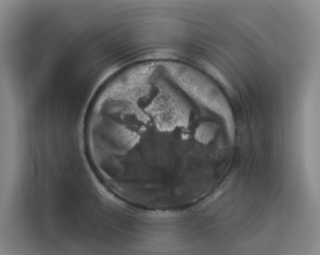 X0000113281087200910051035