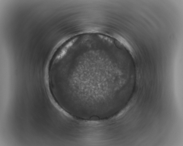 X0000113281088200910051035