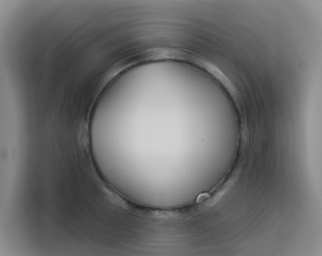 X0000113281089200910051035