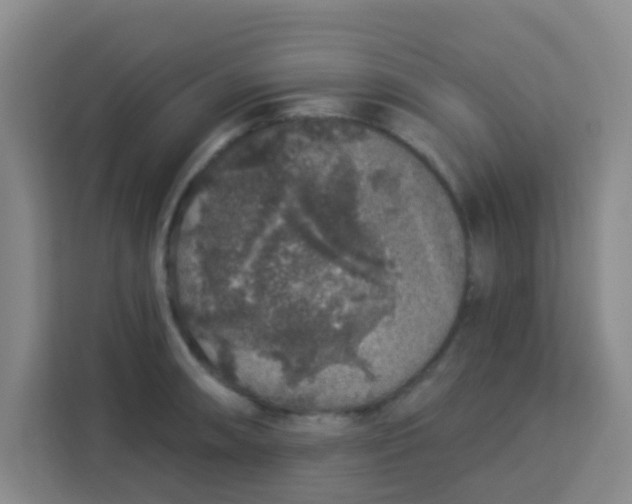 X0000113281090200910051035