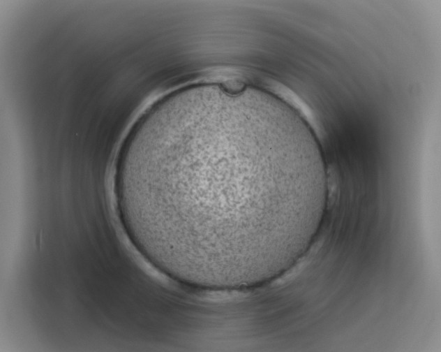 X0000113281091200910051035