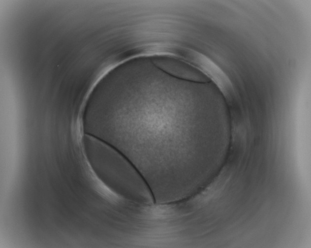 X0000113281092200910051035