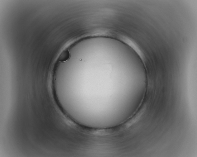 X0000113281093200910051035