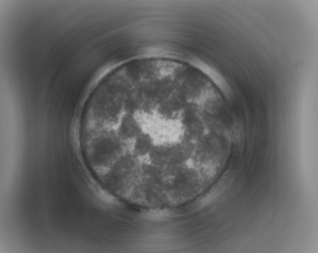 X0000113281094200910051035