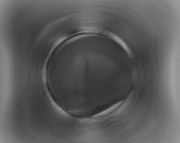 X0000113281095200910051035