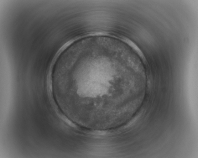 X0000113281096200910051035