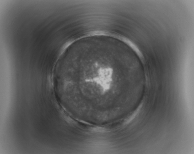 X0000113281097200910051035