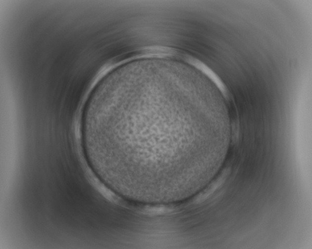 X0000113281099200910051035