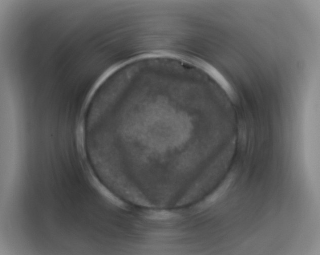 X0000113281100200910051035