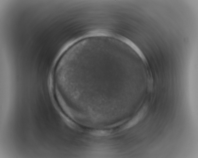 X0000113281101200910051035