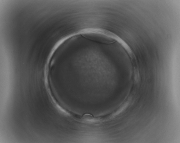 X0000113281102200910051035